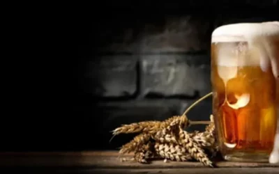 CASO DE ÉXITO – INDUSTRIA CERVECERA