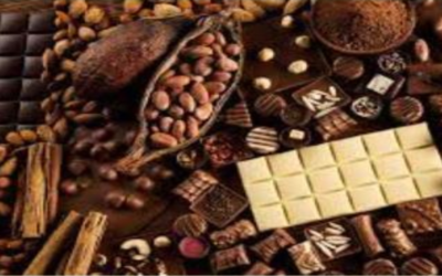 CASO DE ÉXITO – INDUSTRIA ALIMENTOS